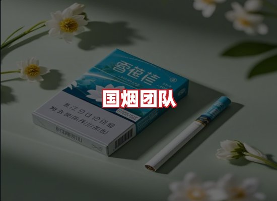 国烟团队